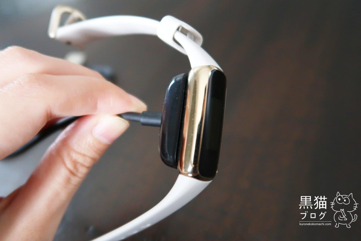 Fitbit Luxeレビュー】おしゃれなデザインでランニング継続に成功！【Chargeと比較も】 | 黒猫ブログ