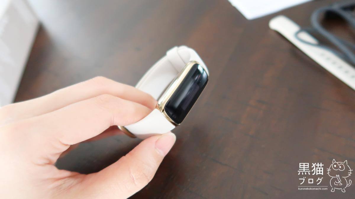 Fitbit Luxeのレビュー：外観と付属品