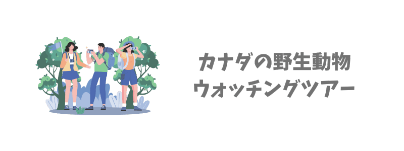 カナダの野生動物ウォッチングツアーに参加しよう！