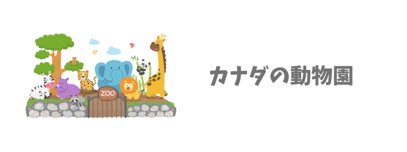 カナダにしかいない動物は動物園で楽しもう！