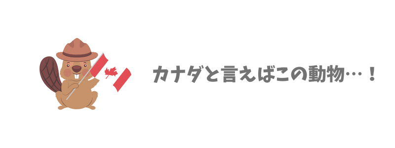 カナダといえばこの動物！カナダの有名な動物ランキングTOP10